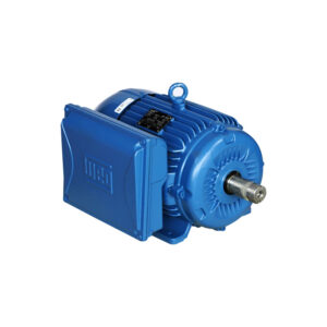 Motor weg monofasico 10hp 115 - 230V - 60HZ - IE1